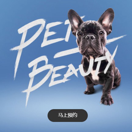 昌邑宠物中心小程序开发