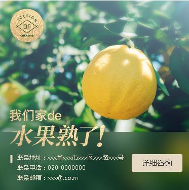 昌邑果园果林小程序开发